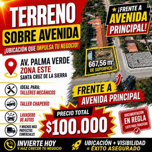 Terreno Sobre Avenida Palma Verde