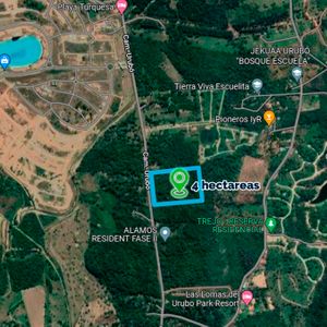 Inmueble # 74 Terreno En Urubo 4 Hectareas