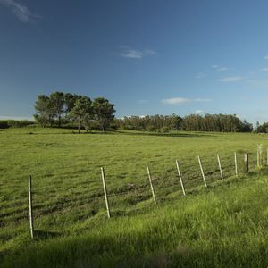 Primera Categoria En La Costa Oeste De Mdeo. 