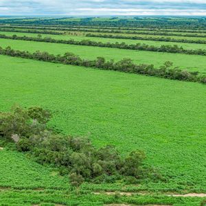 Propiedad Ganadera En Venta