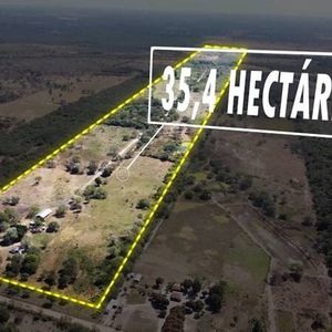 Campo En Venta Zona Sur Nuevo Palmar 
