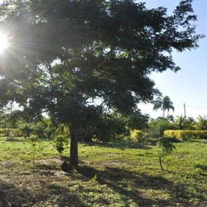 Se Vende Amplio Terreno Ideal Para Quinta