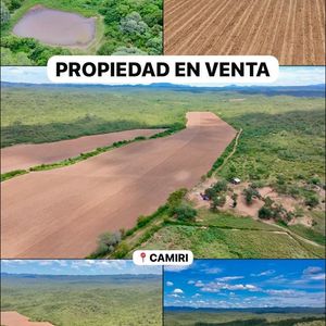 Propiedad En Venta Carretera Camiri