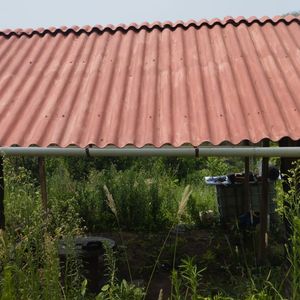  Porongo A 6km De La Plaza, Propiedad 12500m2 Con Paltas, Cafeces Y Citricos