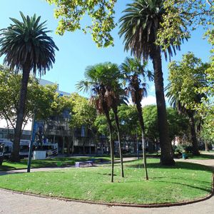 Excelente Punto Pasos Mdeo Shopping Y Zoo , Amplio Y Soleado G.com. Bajos!