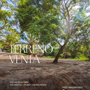 Terreno En Venta - Colinas Del Urubo 