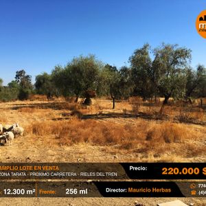 En Venta Amplia Propiedad 12.300 M2 En Tarata Proximo Carretera