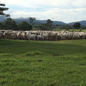 Atencion Inversionistas !! Propriedad Optima Para Ganaderia!!