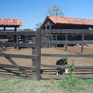 Hermosa Propiedad Lechera De 56ha A 20km De Warnes