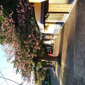En Venta Casa Como Terreno En Esquina – Zona Estrategica En Santa Cruz