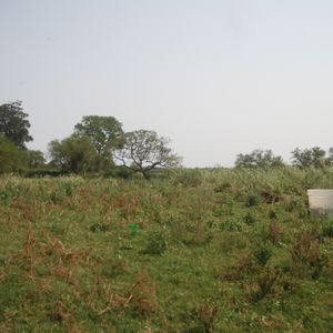 Propiedad 74ha A 30km  Santa Cruz Z/ La Enconada