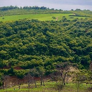 Terreno En Venta Samaipata