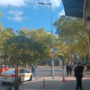 Local Comercial Venta 18 De Julio Rentado
