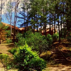 Propiedad En Venta Km 13 Carretera A Camiri