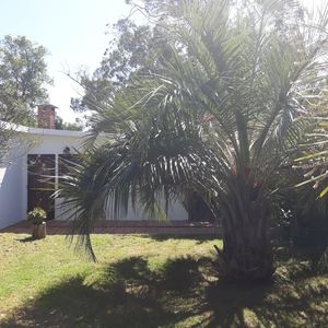 Lusitana
