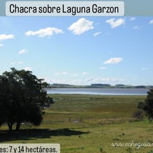 Chacras Sobre Laguna Garzón, José Ignacio