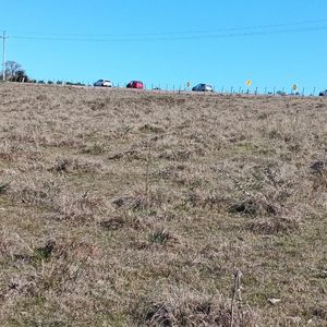 Venta De 67 Hectáreas Productivas En Pueblo Edén