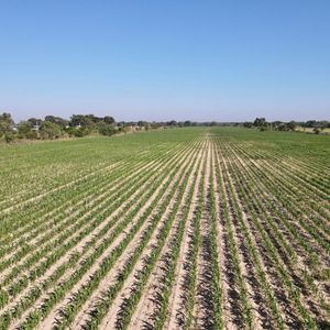 En Venta Terreno De 23 Hectáreas Ideal Para Urbanizar En Paurito