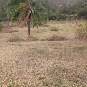    Urubo A 12mn Del Puente Foianini,  Hermoso  Terreno  800m2  En Condominio 