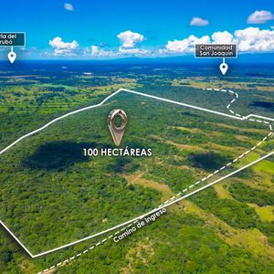 En Venta | Terreno Apto Para Sembradio Y Ganaderia Al Norte De Santa Cruz