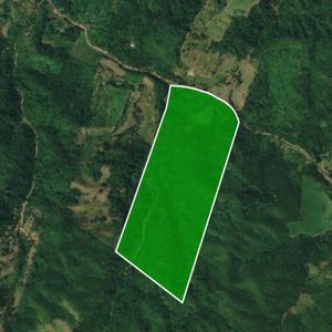 Propiedad En Venta En El Municipio De Cabezas