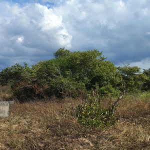  Ciudad Del Urubó Techo Uv11, Lindo Terreno  300m2 Sobre Elevado Con Linda Vista