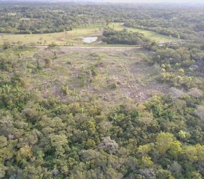 Terreno En Venta 