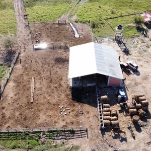 !!!gran Oportunidad!!! - Propiedad Ganadera En Venta