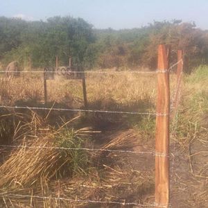 Terreno En Venta , Zona Este - Urbanizacion Salom