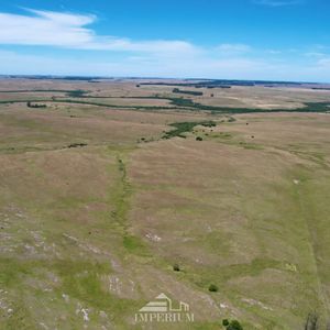 Venta De Campo Ganadero-forestal De 1616 Hectáreas Entre Florida Y Durazno