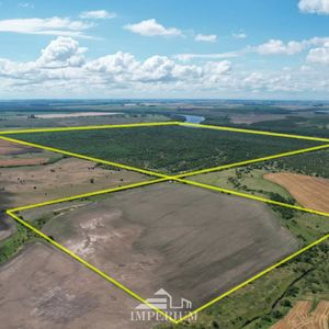 Venta Campo En Soriano 264 Ha