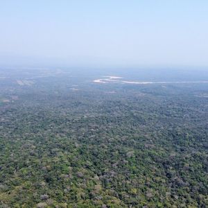 Propiedad De 33.25 Hectáreas A 7 Km Del Pueblo De Buena Vista