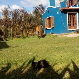 ¡Días Oferta!  5 Noches Usd 400  / 3 Noches Usd 250 Casa Azul 