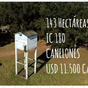 Campo 143has Borde Rio Sta Lucia Oro Liquido Ic 200 Aguas Corrientes, Canelones