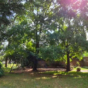 Terreno Parque Arbolado En Zona Residencial,