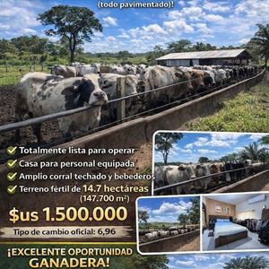 Propiedad Ganadera, Urubo El Cuchi