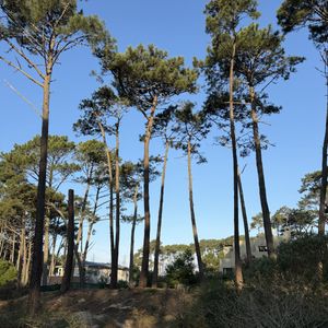 Dueño Directo - Terreno Laguna Blanca - 2080m