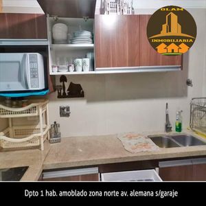 Bienes Raices "olam" Alquila Dpto. De 1 Habitación Amoblado 