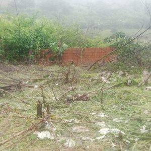 Coroico Terreno 2.888 Mtrs²