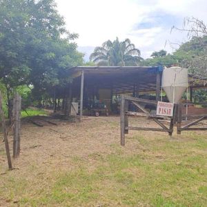 Granja De Pollos Entre Pedro Lorenzo Y Peji
