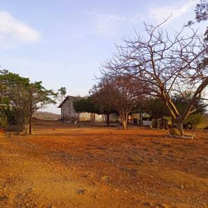 Pequeña Propiedad En Venta En San Ignacio De Velasco