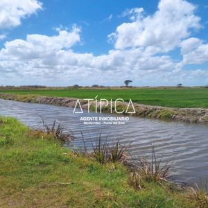 Venta, Campo Productivo En Rocha, Laguna Merin, Uruguay.