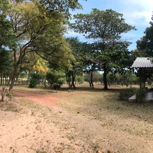 Quinta Camino A Cotoca