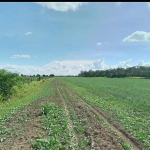 Inmueble # 741 Propiedad Cañera En Venta En Warnes