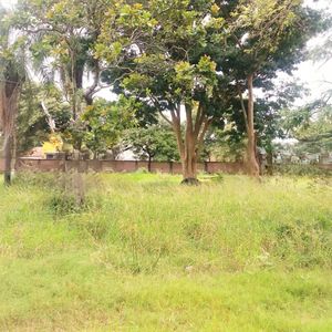 Inmueble # 310 Amplio Terreno En  8vo Anillo