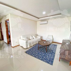 Lindo Departamento En Alquiler Por Dia 501