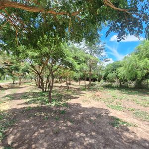 Terrenos En Venta Zona Este | Alta Plusvalía Urb. San Silvestre