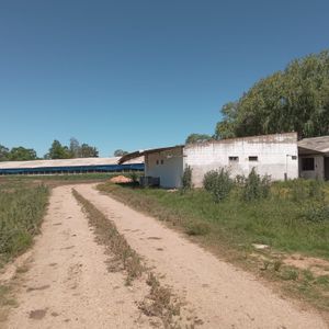 Chacra Con Casa Y Depósitos En Ruta 102 Y Camino Fauquet