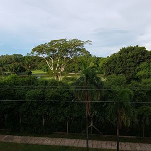 Bello Depto De 3 Dormitorios En Las Palmas 