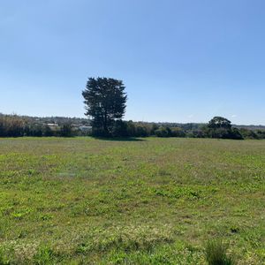 Chacra Agrícola 10 Ha. 2 Casas Y 4 Galpones.